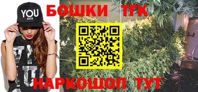 соль ск Сланцы
