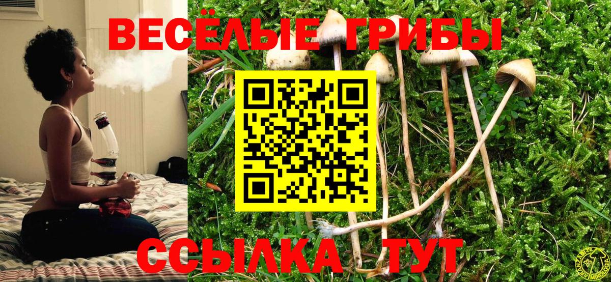 Галлюциногенные грибы Psilocybe Миасс